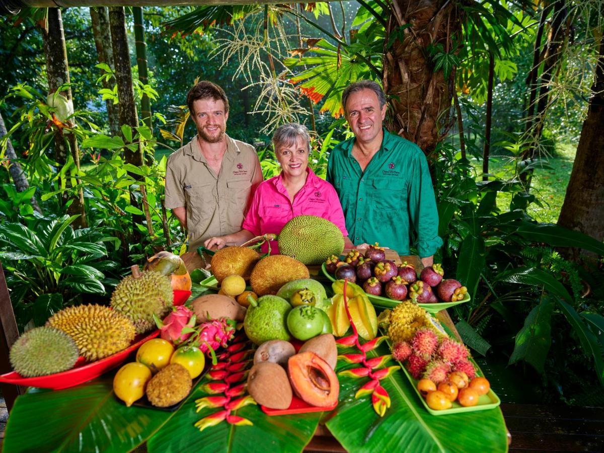 Bed and Breakfast Cape Trib Farm Cape Tribulation Exterior foto