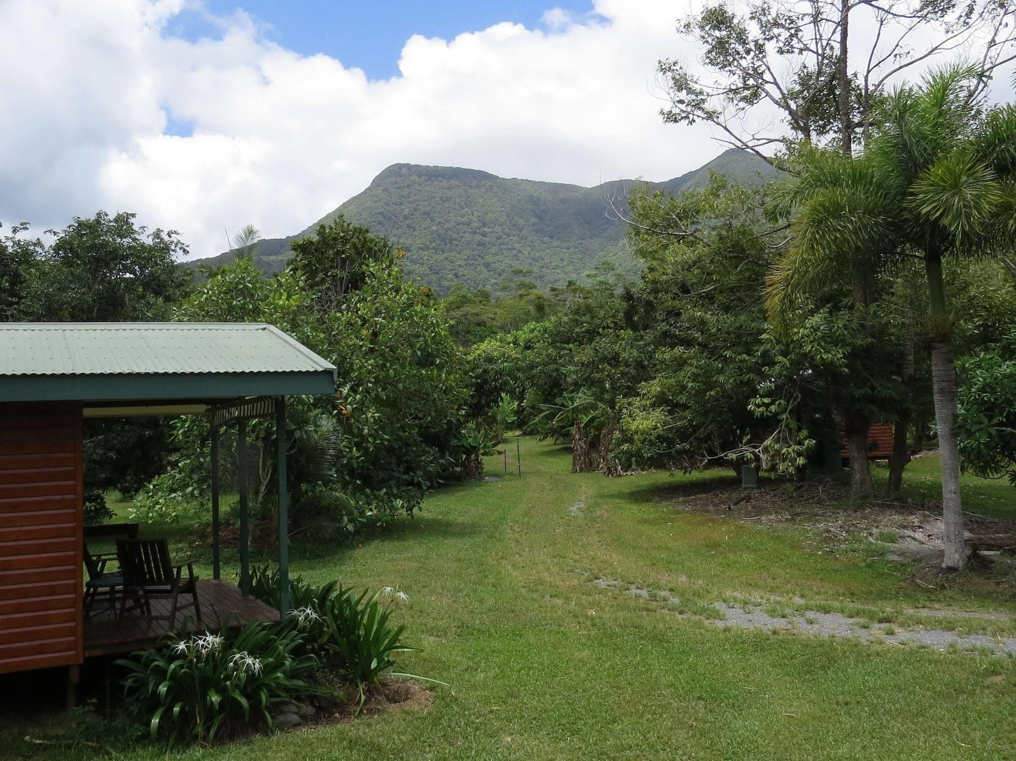Bed and Breakfast Cape Trib Farm Cape Tribulation Exterior foto